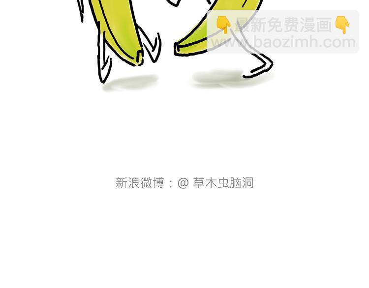 八戒老了17