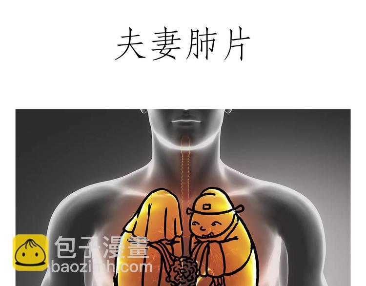 八戒老了8