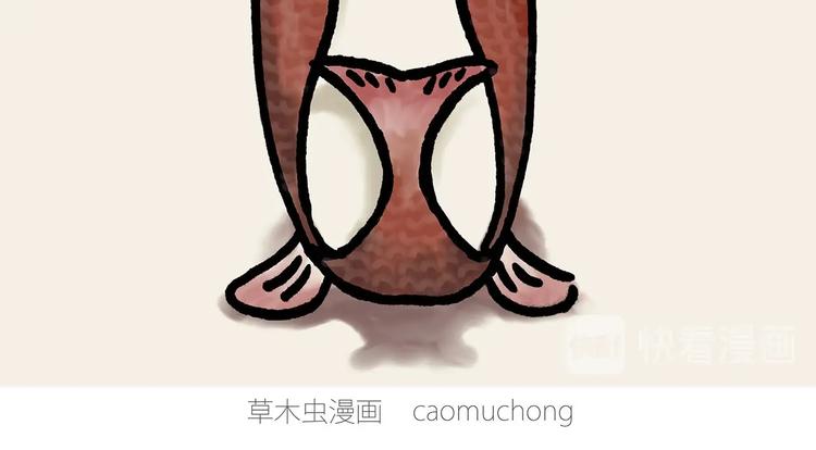 草木虫画画课堂13