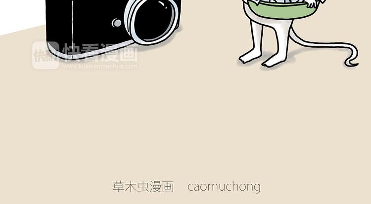 各不耽误13