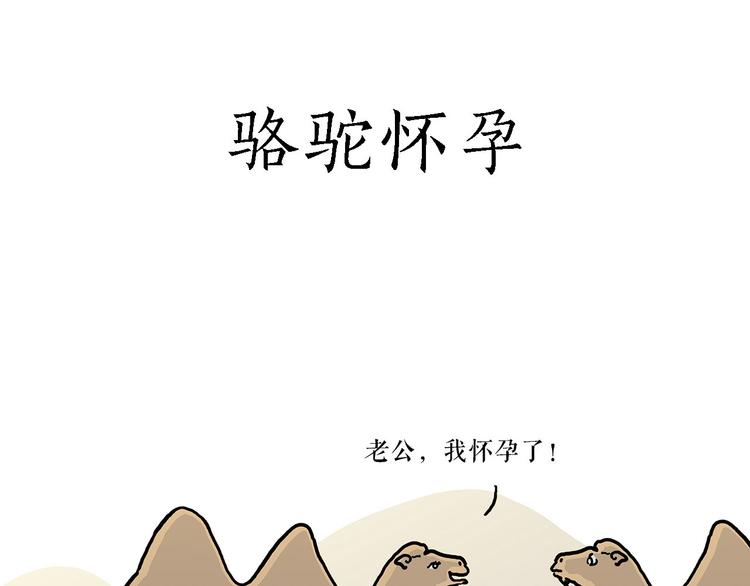 各不耽误19