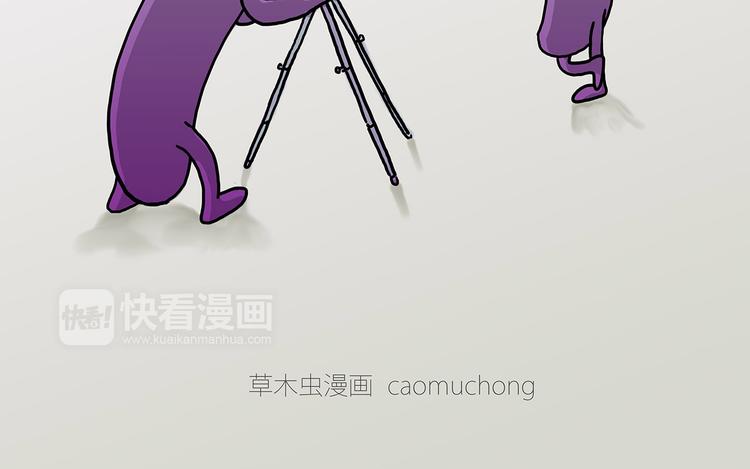 共享单车8