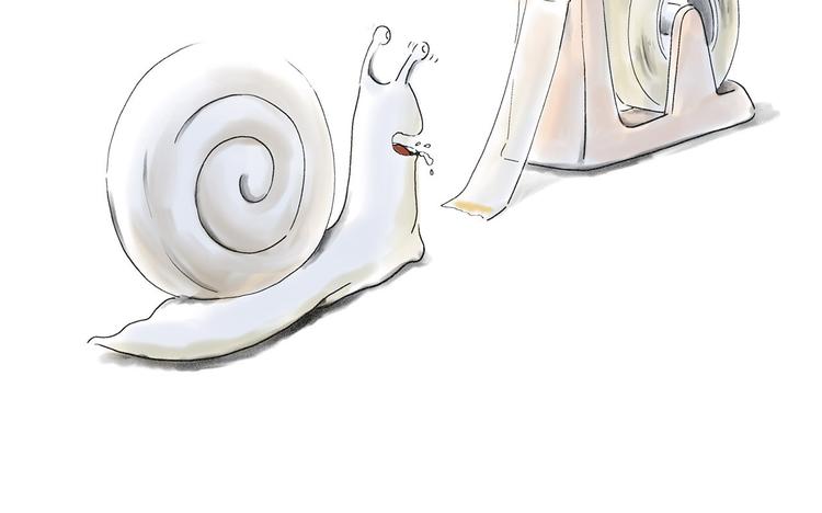 师徒过河20