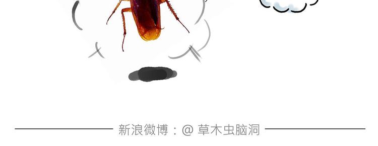 拳击私教6