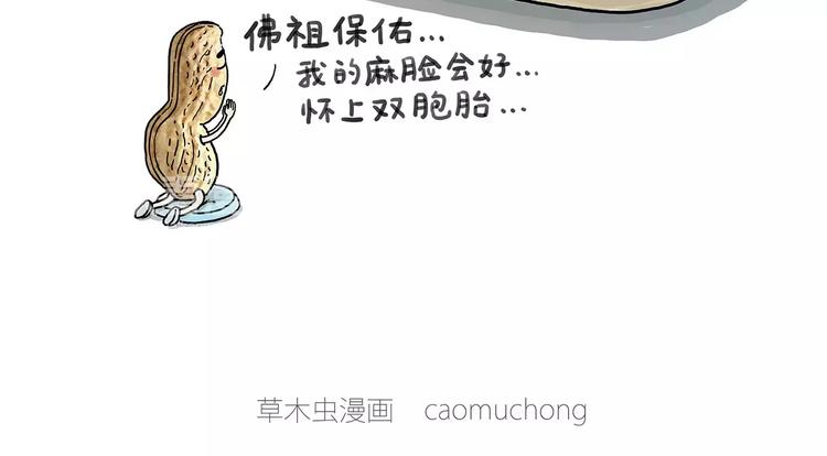 师傅的萌宠11