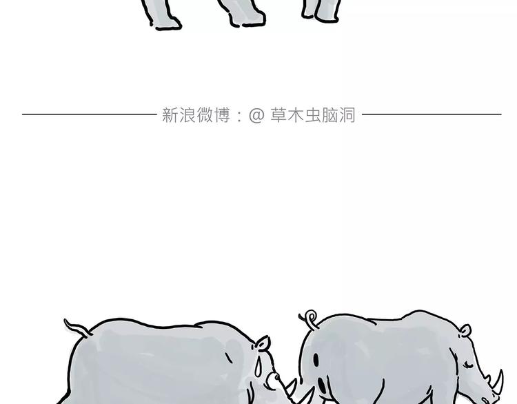 师傅的萌宠13