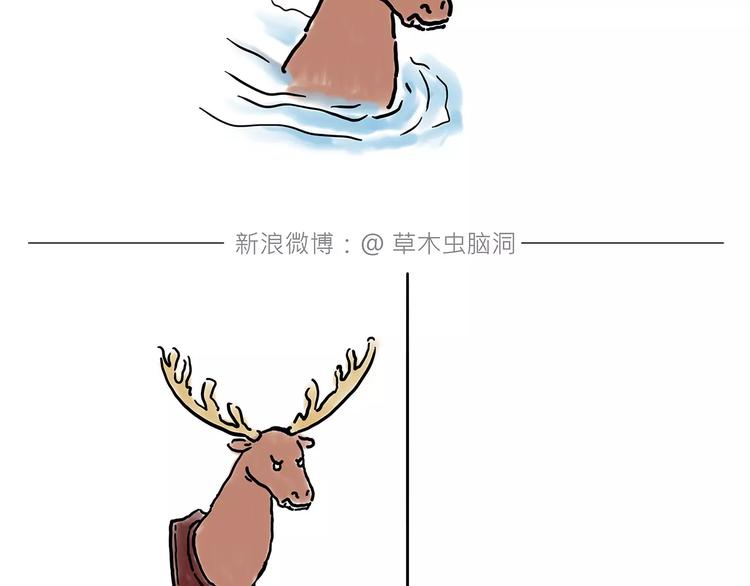 师傅的萌宠8