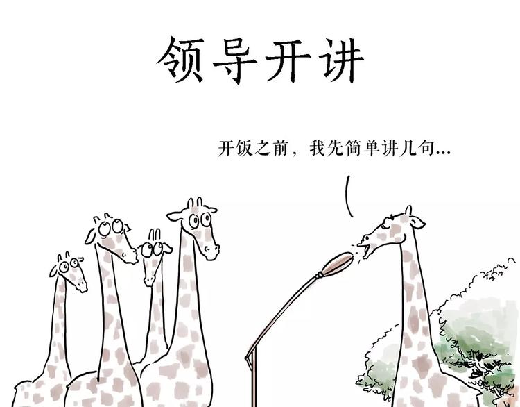 骚气的头箍11