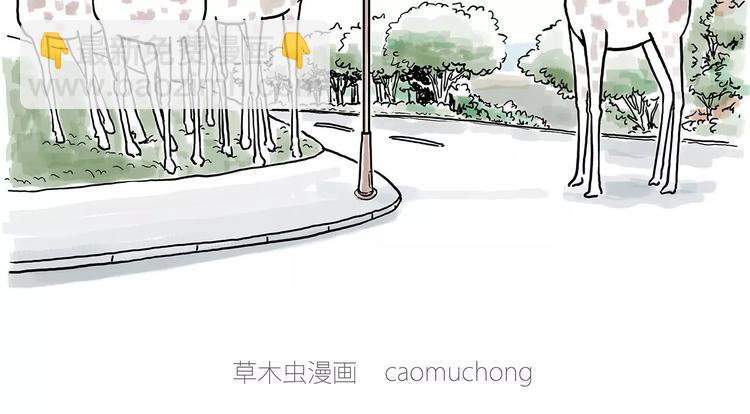 骚气的头箍12