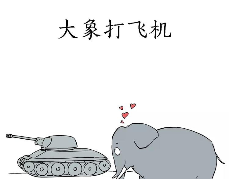 骚气的头箍13