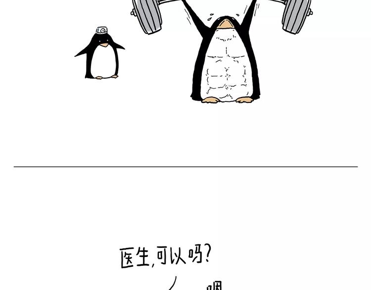 骚气的头箍27