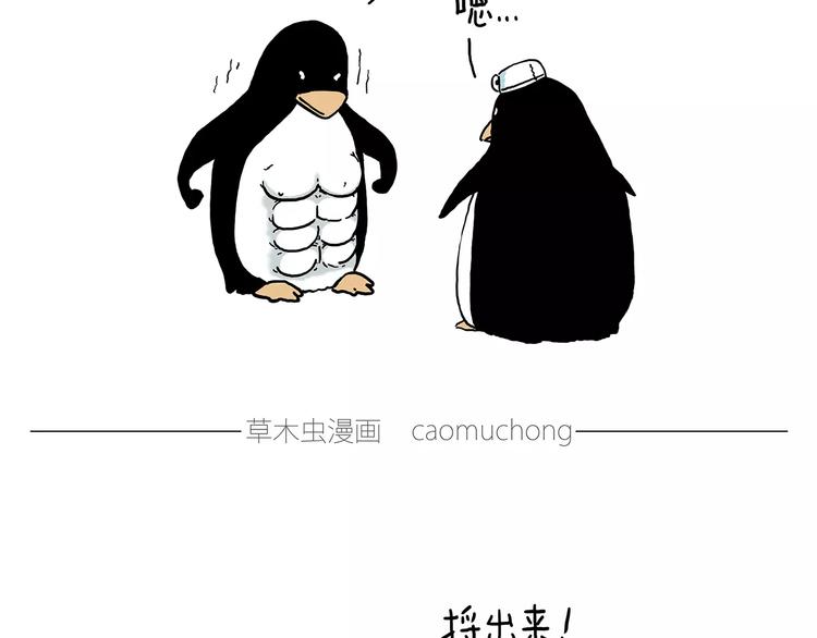 骚气的头箍28