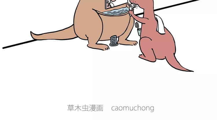 骚气的头箍5
