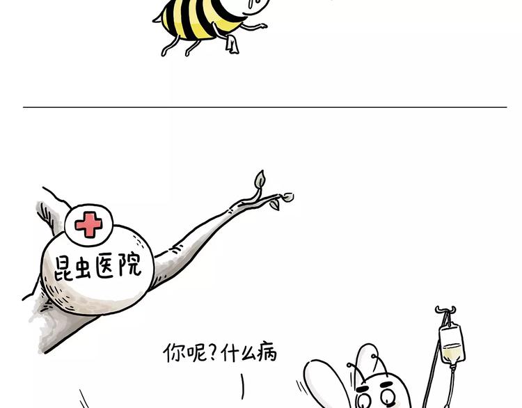 第152话  苹果鸟？？？20