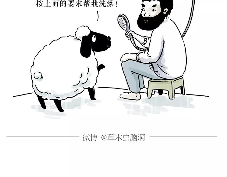 第157话  洗羊说明书22