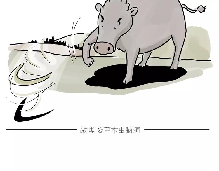 第157话  洗羊说明书27