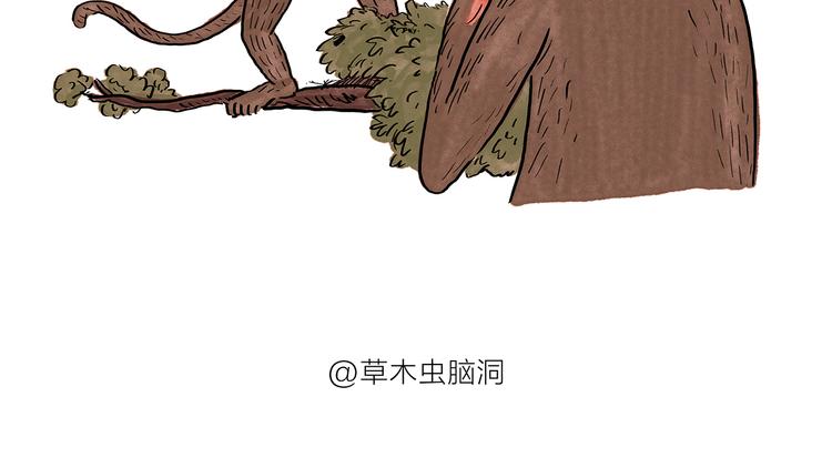 第182话 一物多用18