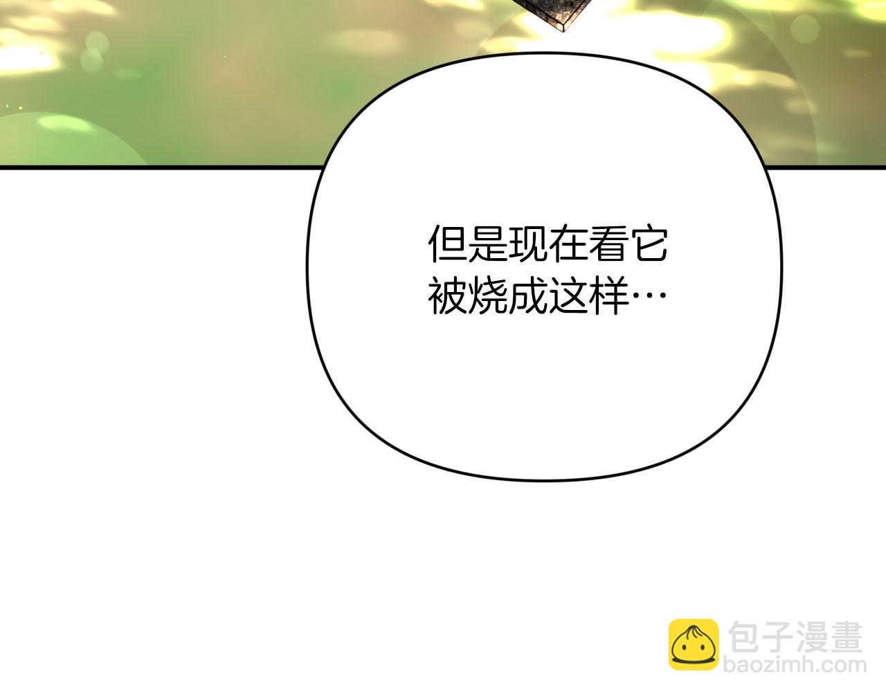 第29话 另一位德鲁伊109