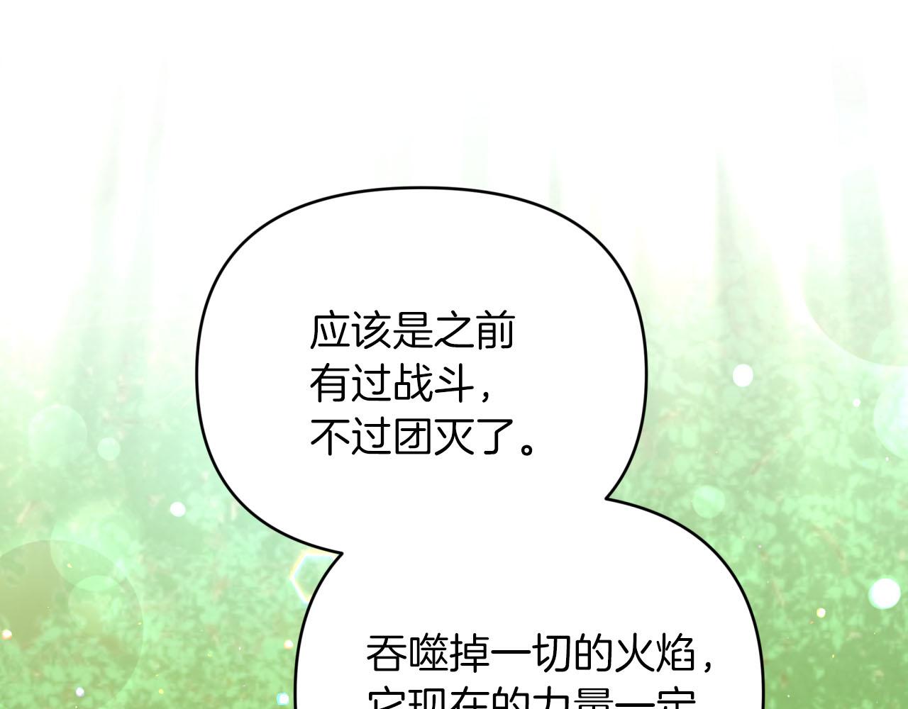 第29话 另一位德鲁伊110