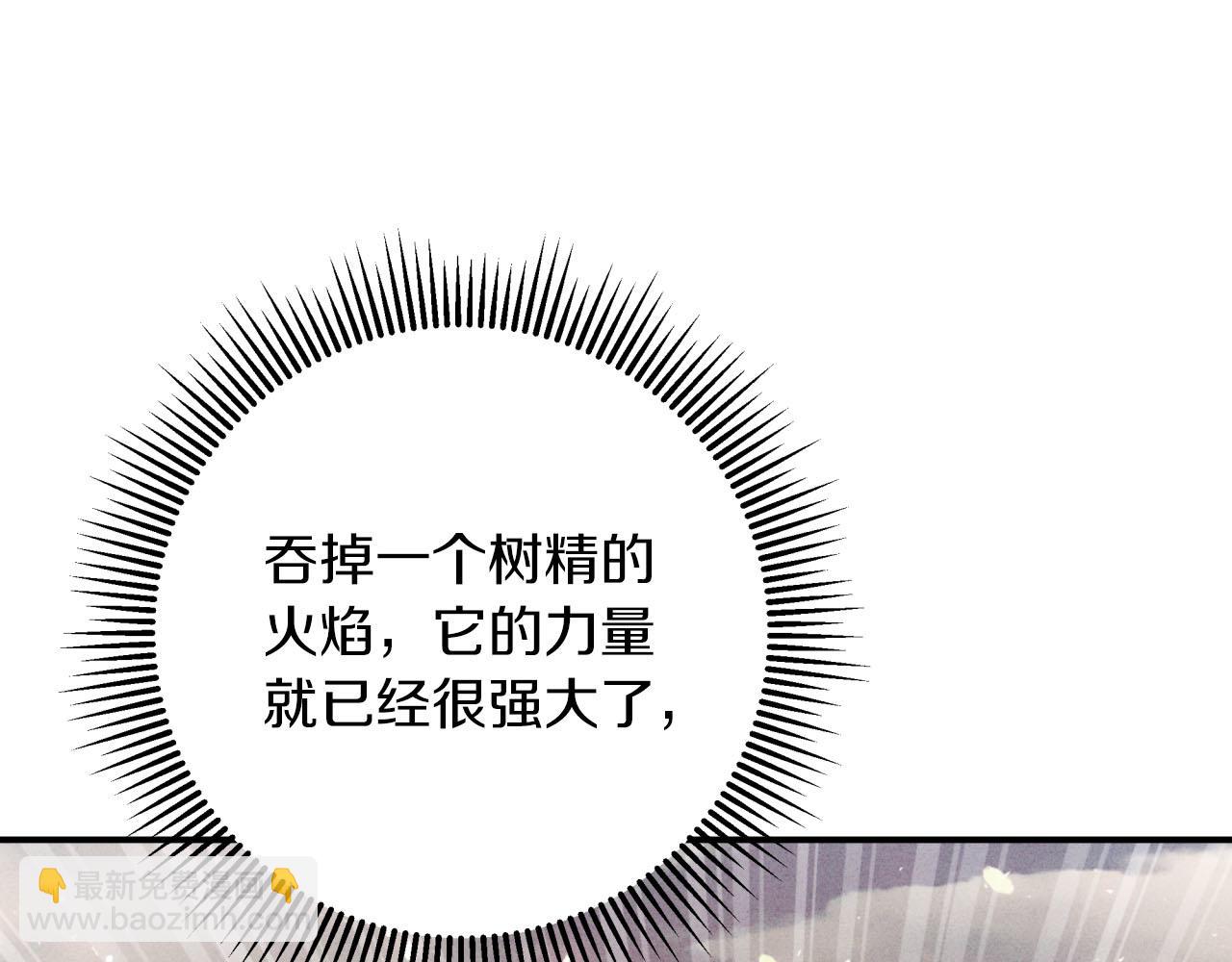 第29话 另一位德鲁伊115