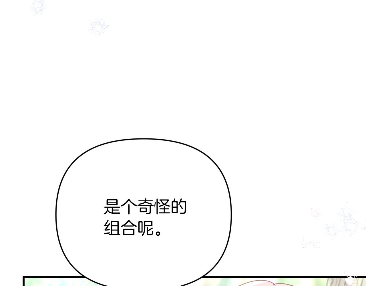 第29话 另一位德鲁伊174