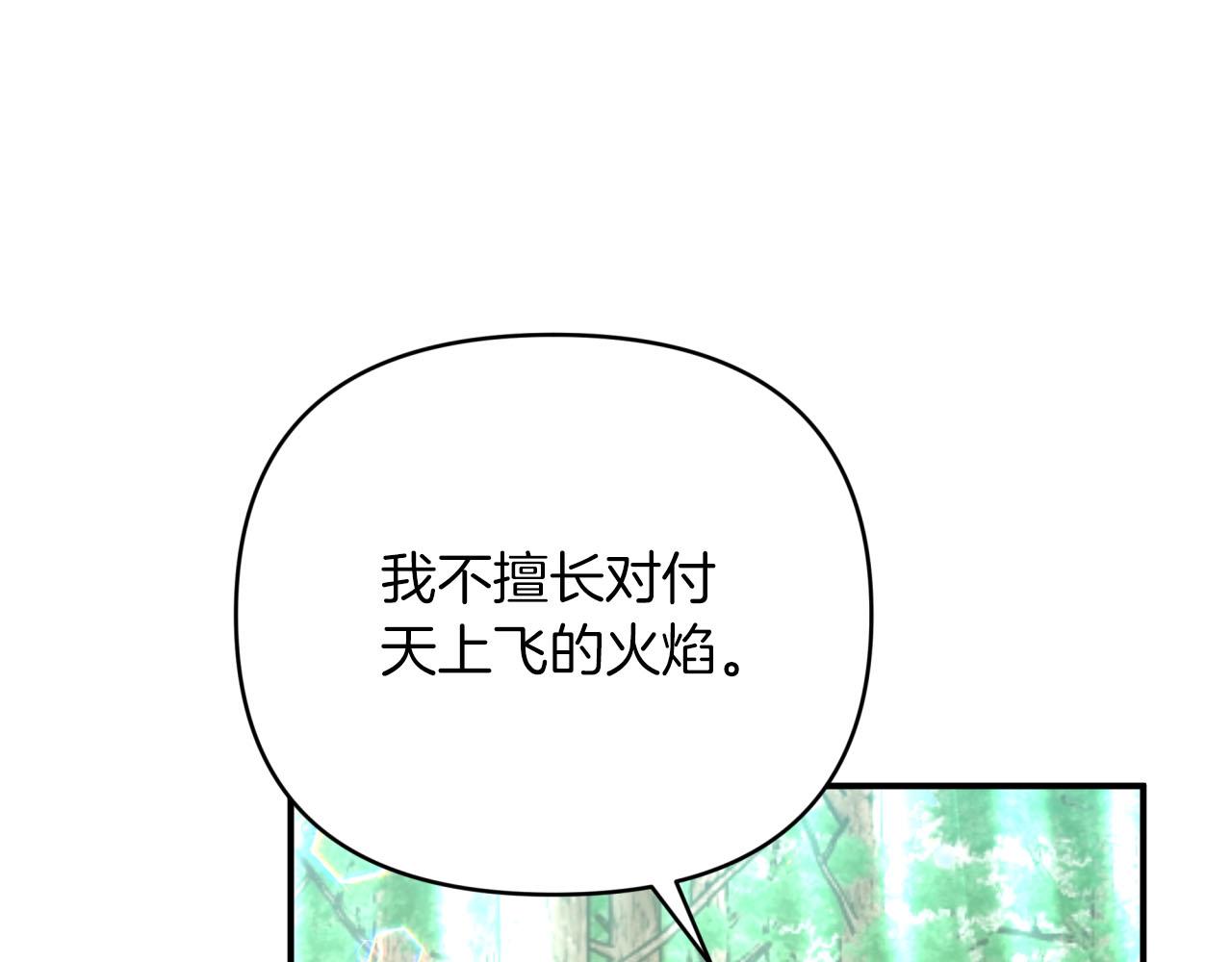 第29话 另一位德鲁伊57