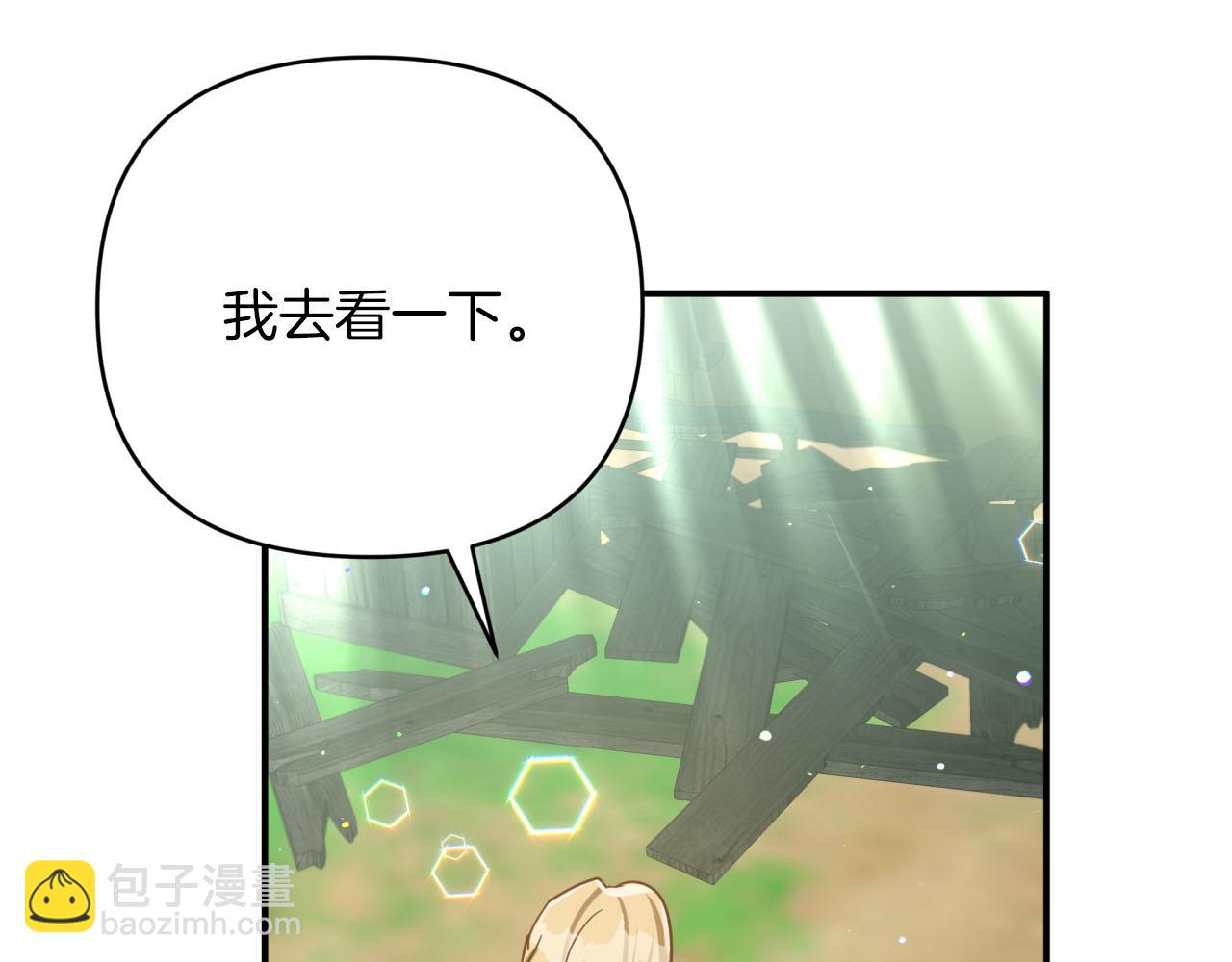 第29话 另一位德鲁伊91