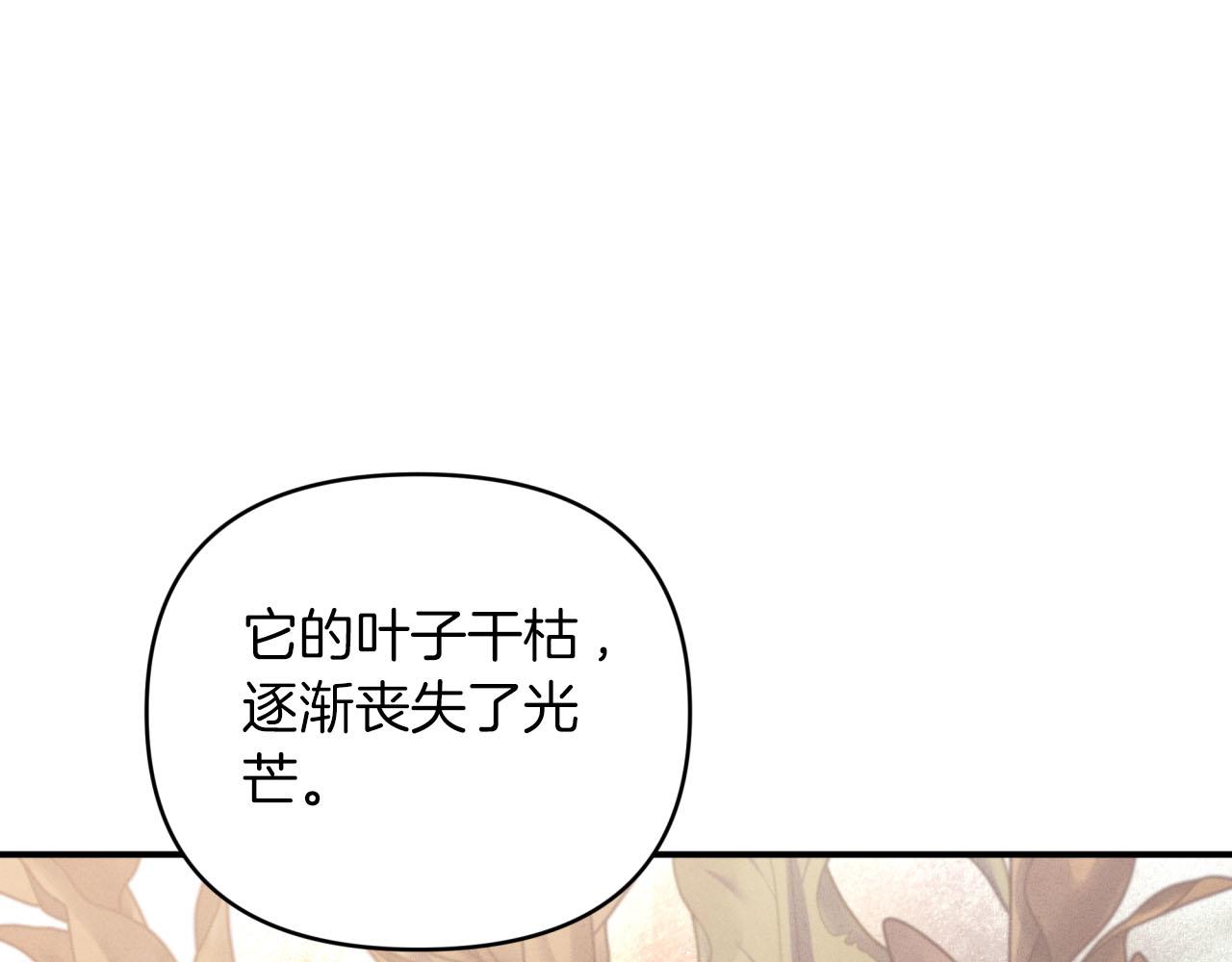 第37话 另一个黛西树精155
