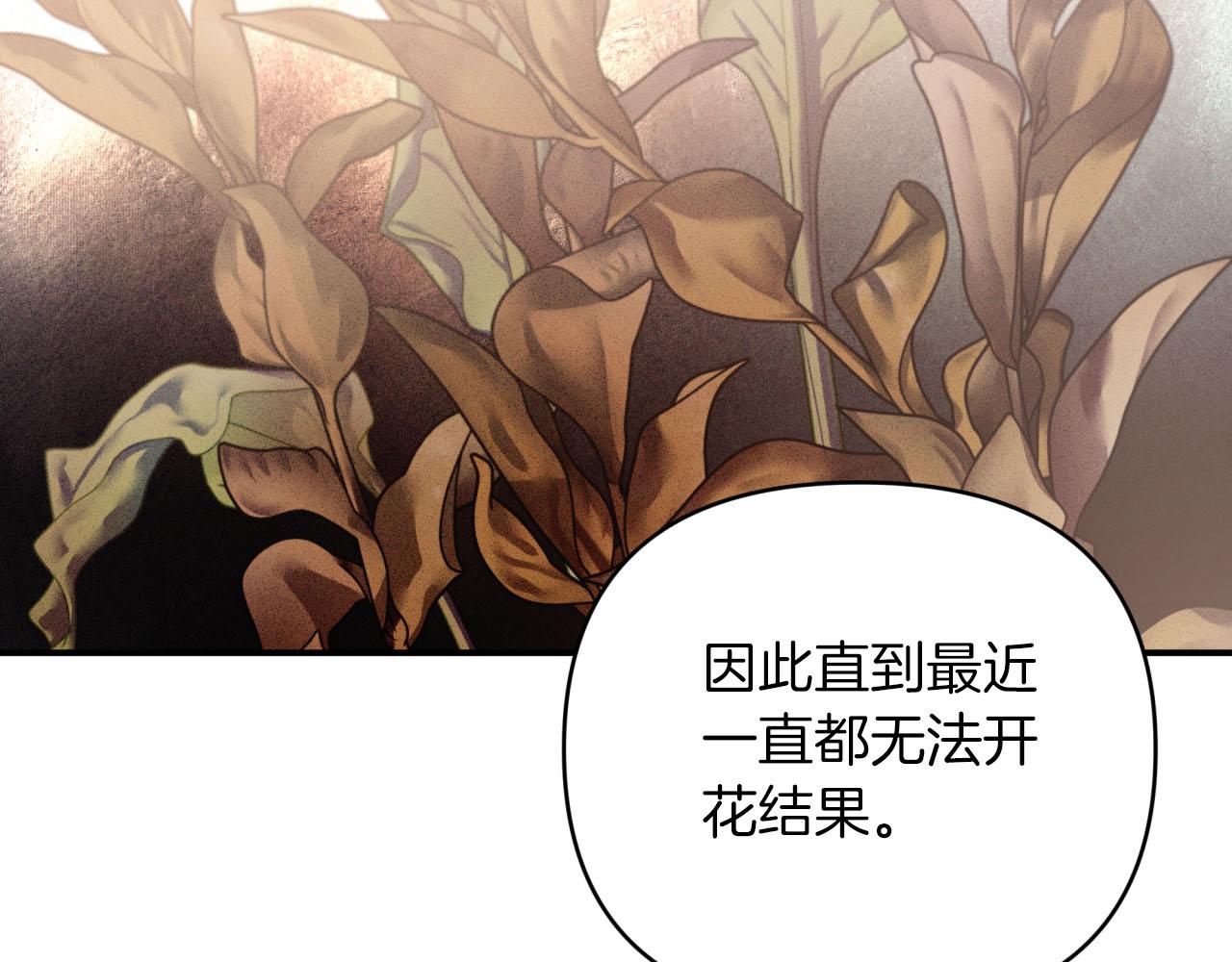 第37话 另一个黛西树精160