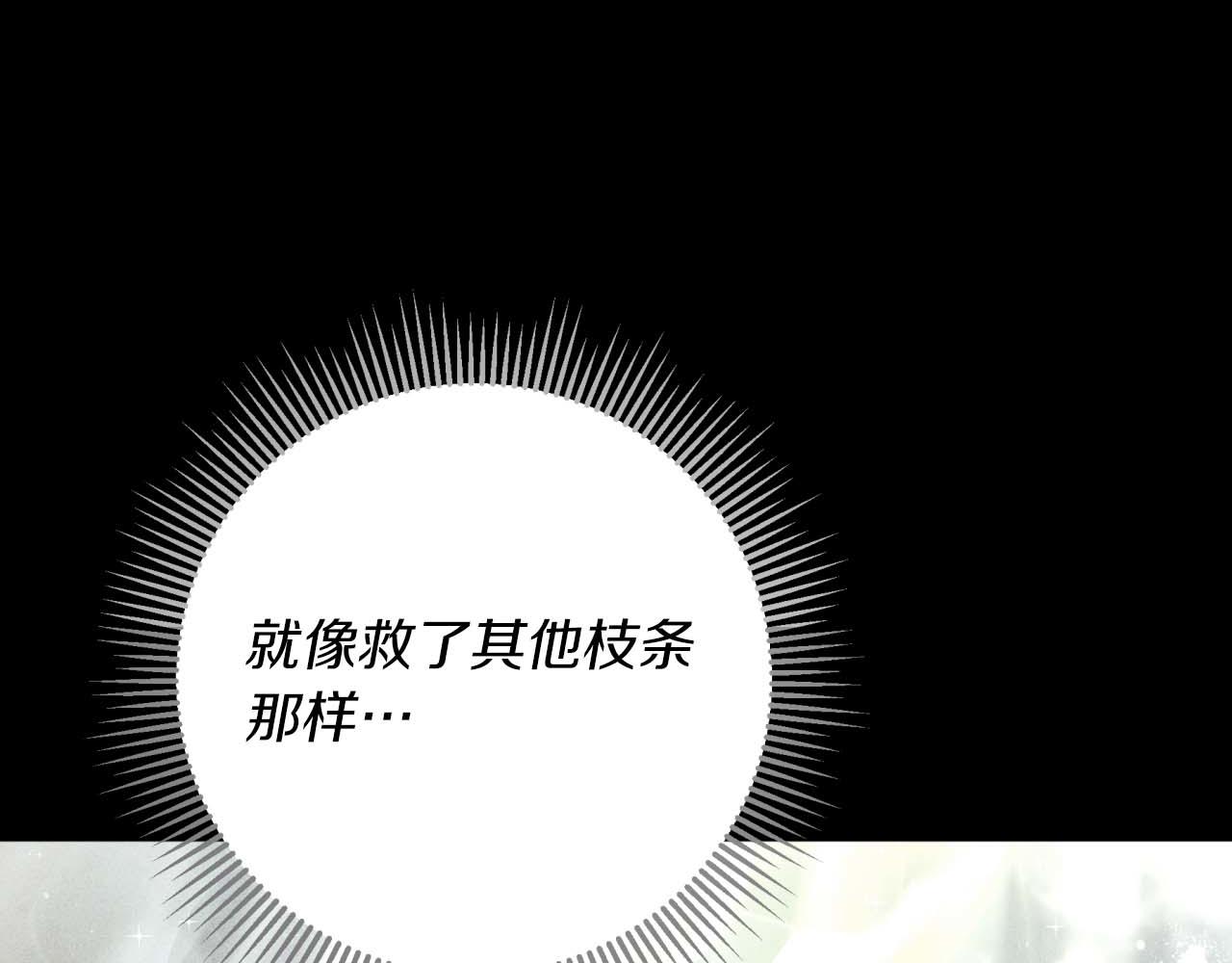 第81话 世界树的请求127