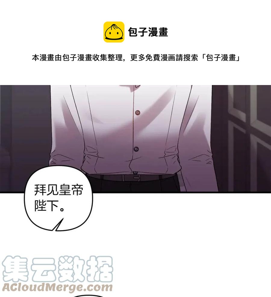 第82话 胸针24