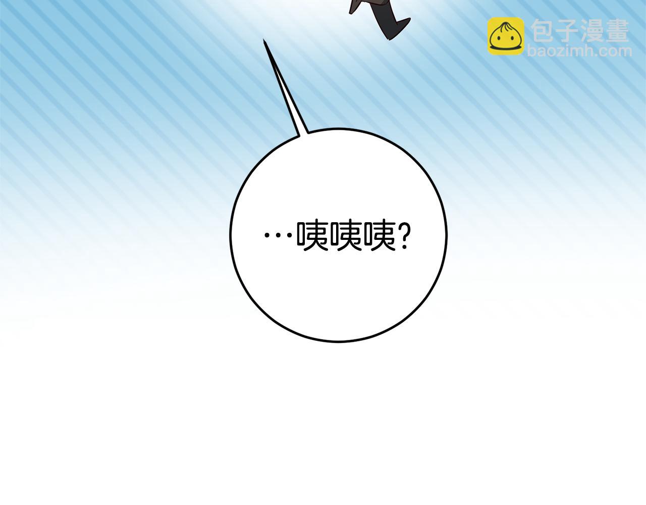 第11话 套路12