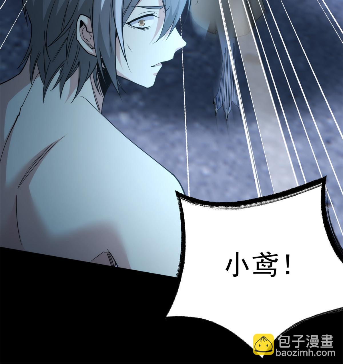 149 鸡之忠义，不容质疑15