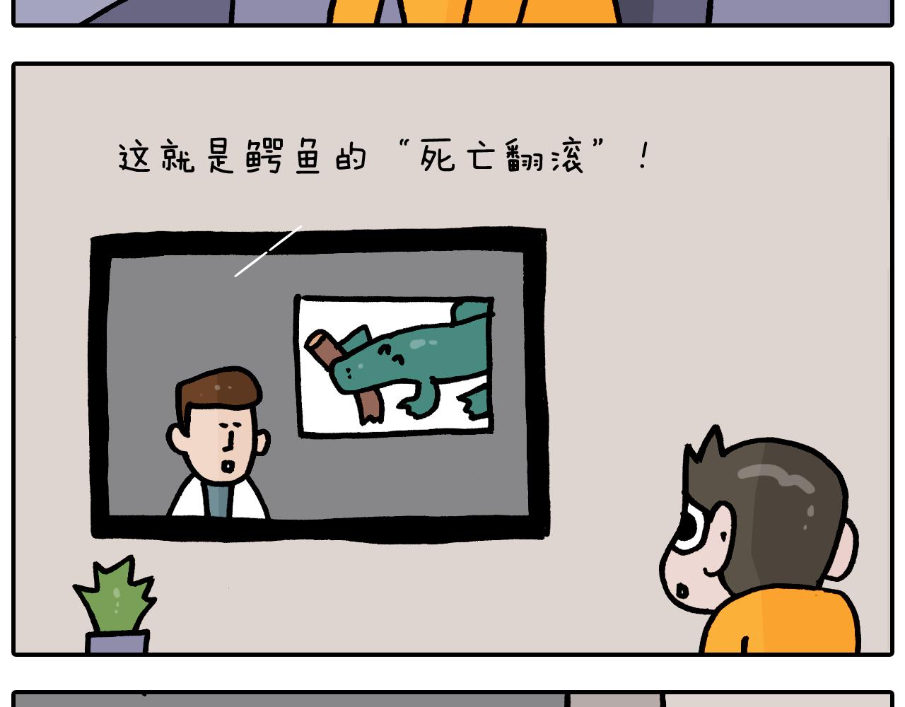 第373话 鳄鱼的死亡翻滚8