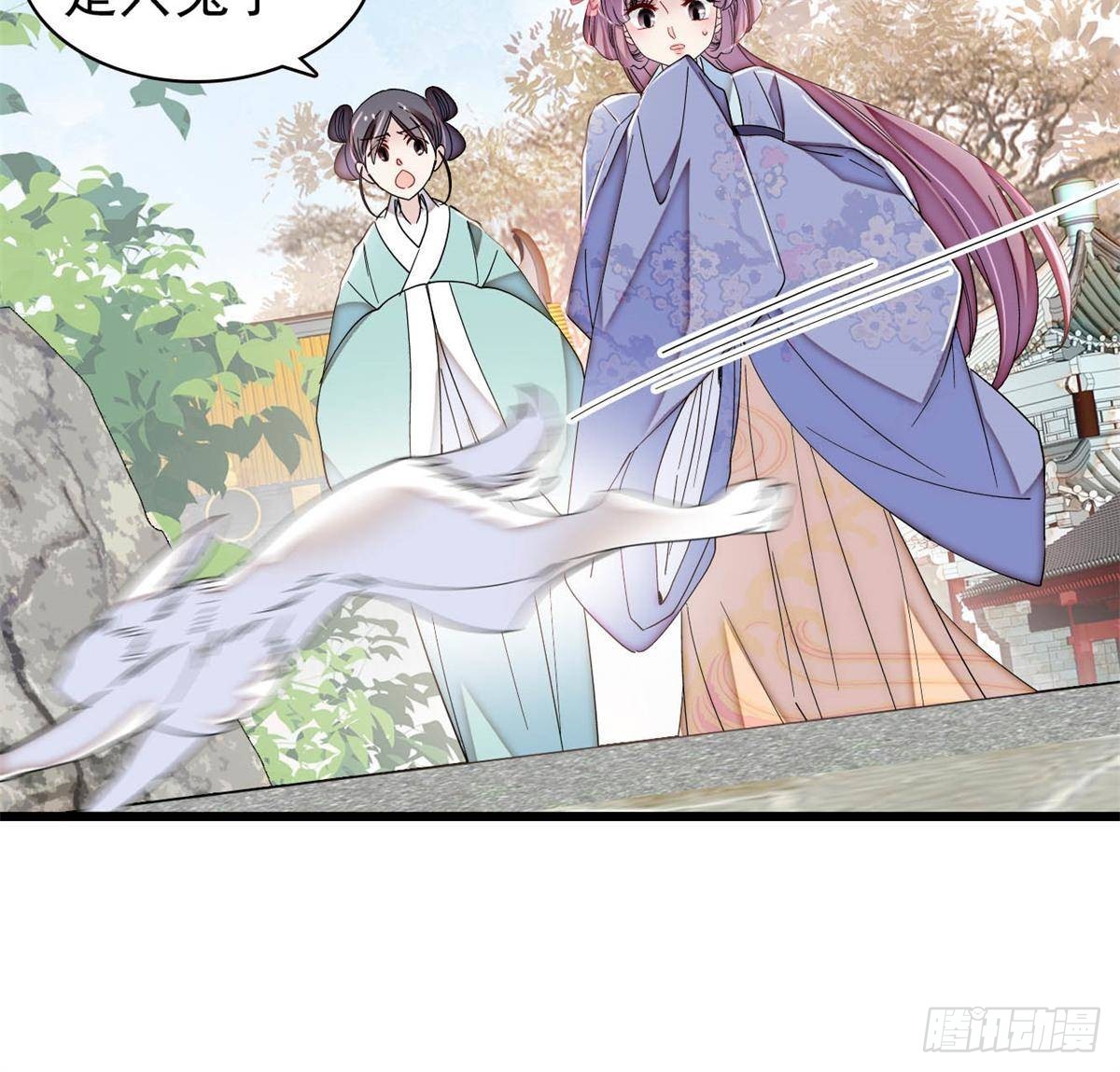 第393话 想要怎样的夫婿？42