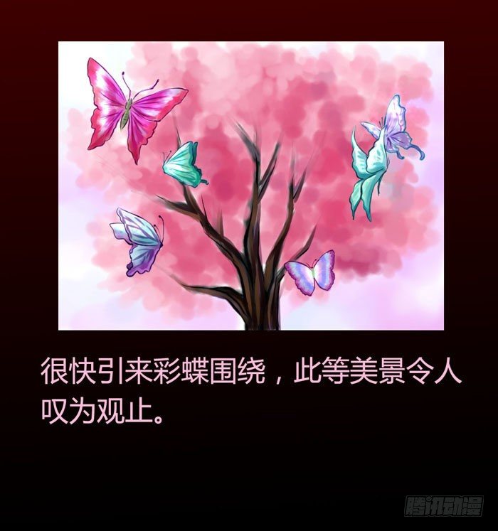 桃花不见【策瑜】6