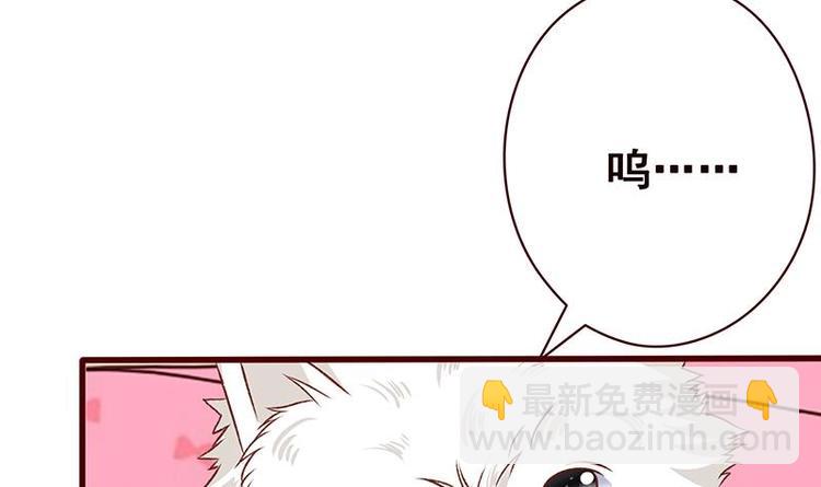 第4话 秘境仙府21