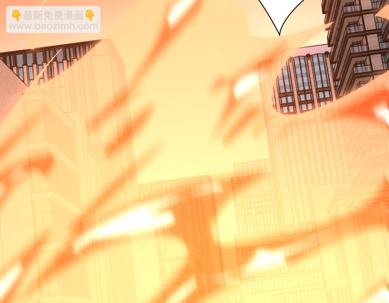 第260话 一网打尽110