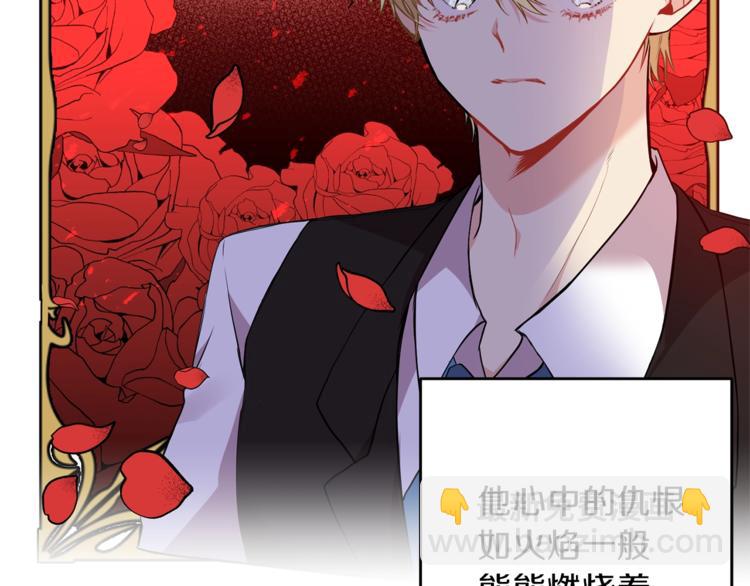 第1话 玫瑰与诅咒240