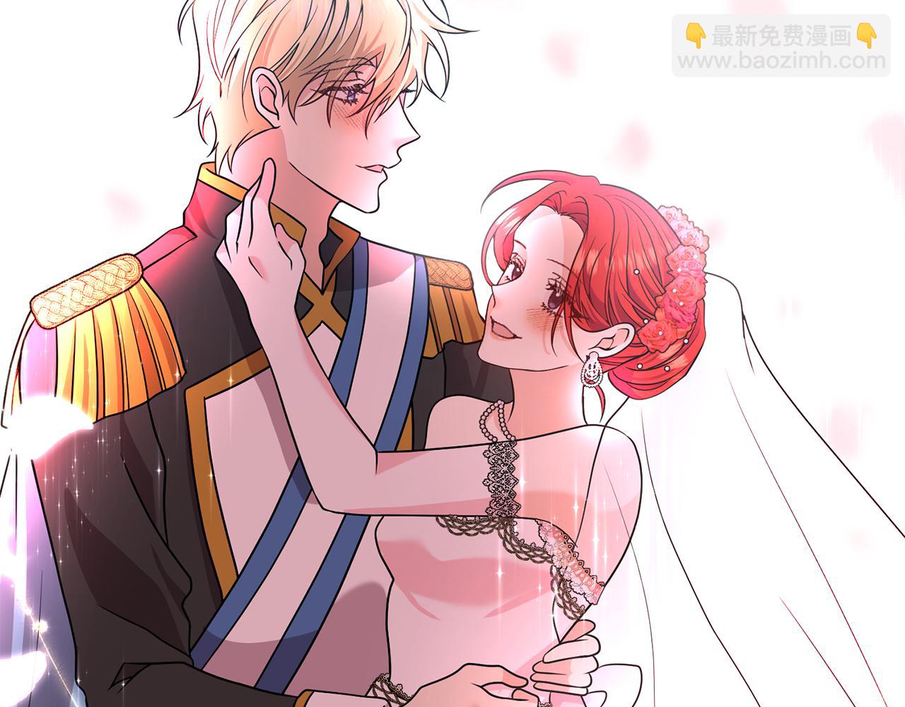 完结篇 浪漫求婚241