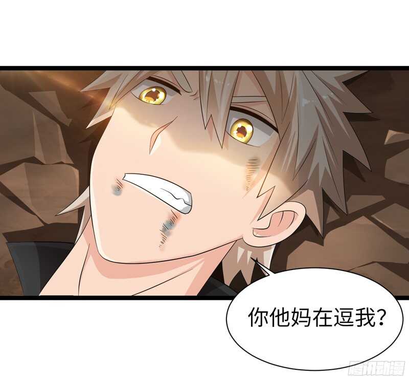 7706