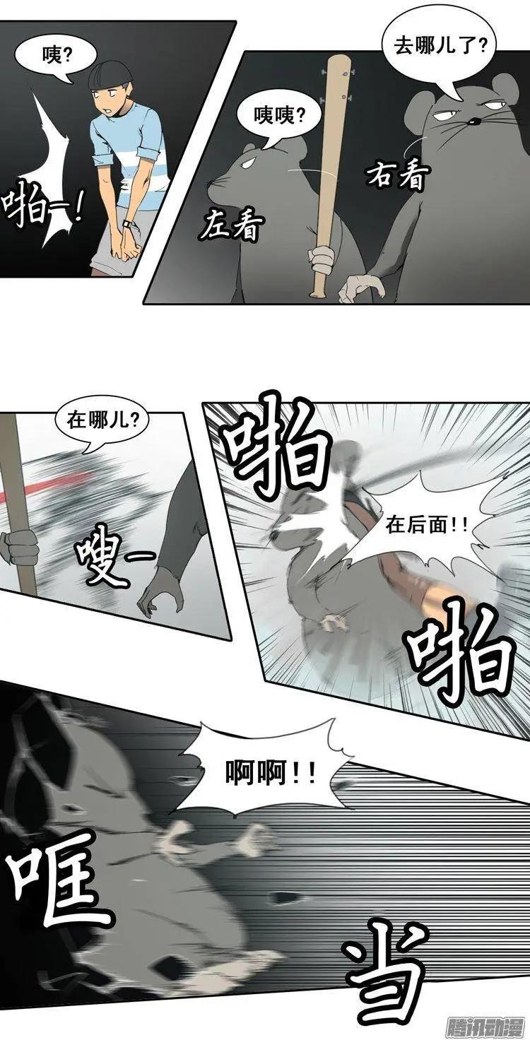 第73集 灭掉两只老鼠12
