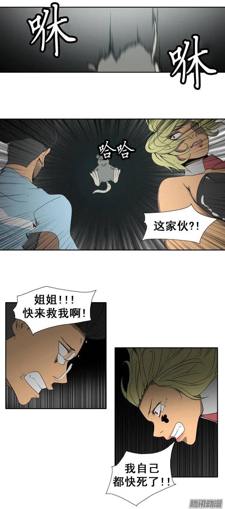 第73集 灭掉两只老鼠22