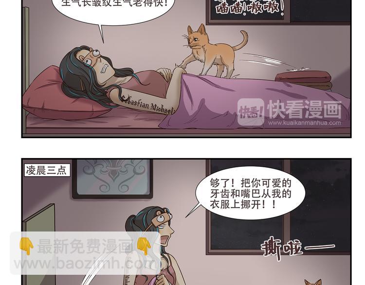 第170话 猫界时尚大师3