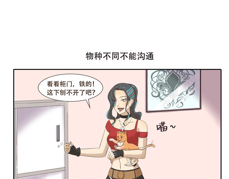 第170话 猫界时尚大师6