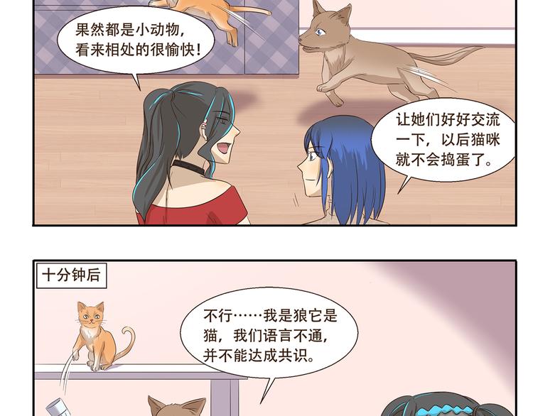 第170话 猫界时尚大师9