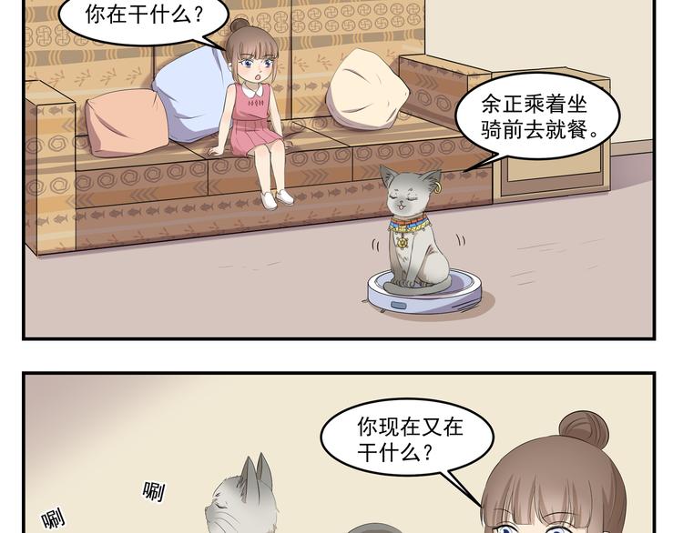 第430话  猫咪习性2