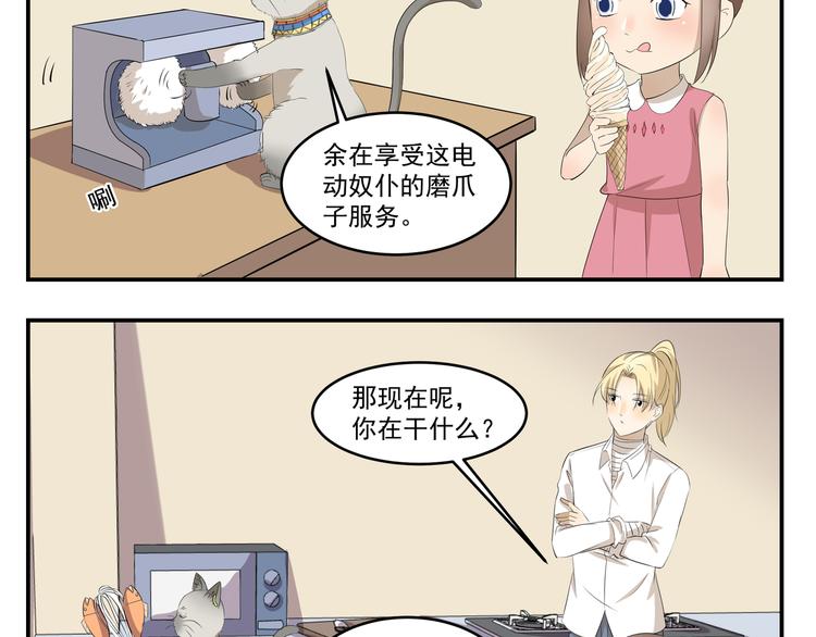 第430话  猫咪习性3