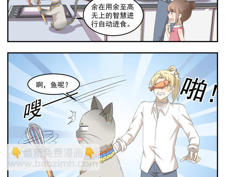 第430话  猫咪习性4