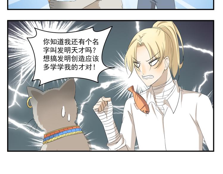第430话  猫咪习性5